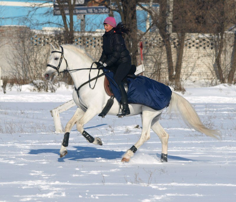 Галопчик