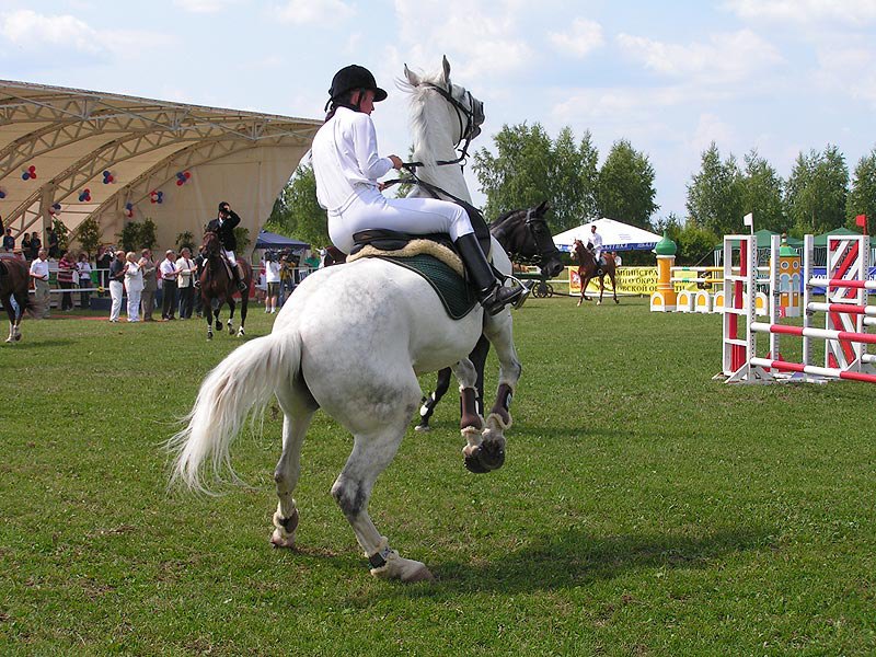 Конкур, Планерная.