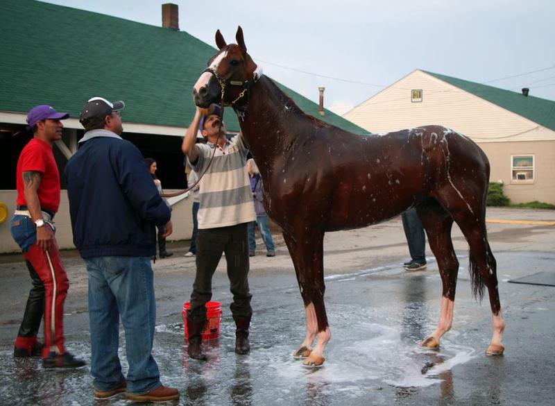 Belmont Park 2014 год.