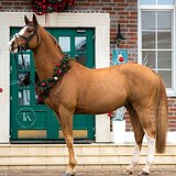 СТАРТОВЫЙ ОПЫТ ДО 120 СМ