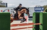 Учитель в конкур 110 см