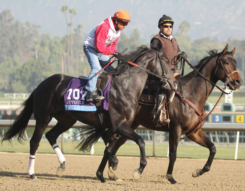 Ипподром Santa Anita 2013 год, подготовка к Breeders' Cup Juvenile - Gr. 1