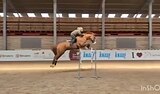Уровень Гран-При