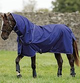 Дождевая попона с капором Amigo by HorseWare 145
