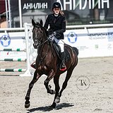  В КОНКУР И ТРОЕБОРЬЕ