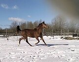 Хронология