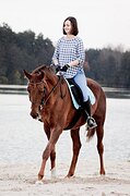 Кобыла хобби/любители