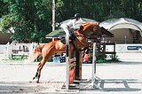 Мерин 2012 гр, 173 вх