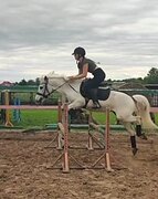 универсальный пони в/х130см