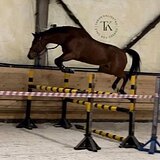 СТАРТОВЫЙ ОПЫТ ДО 140 СМ