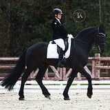 ДЕТСКИЕ ЕЗДЫ НА 67%+