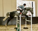 В конкур 110+