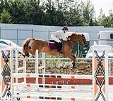 МЕРИН В КОНКУР • МАРШРУТЫ 10