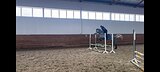 Кобыла в конкур , маршруты 90
