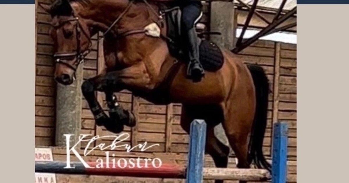 Костюмированные соревнования по конному спорту