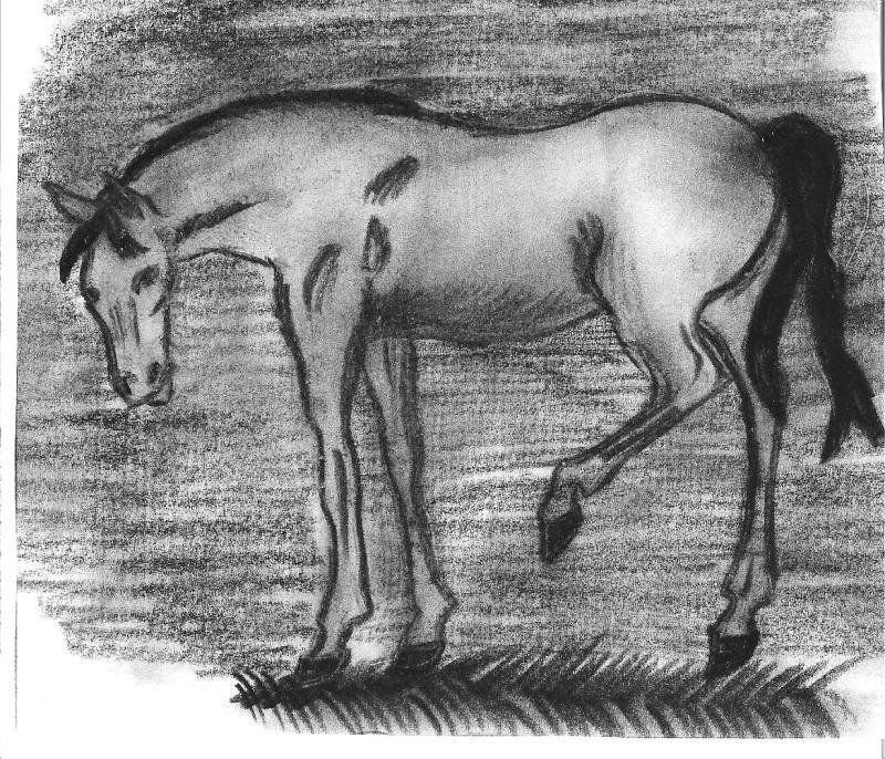 Лошадка нарисоанная углем