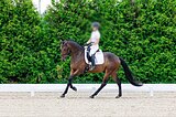 Первый старт 75%