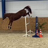 Срочно!В конкур