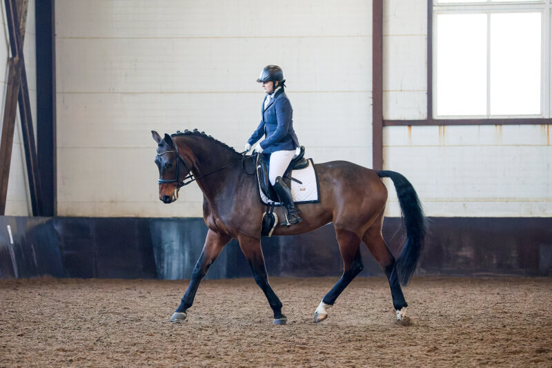 КИНГСТОН-20 и Красавина Стефани