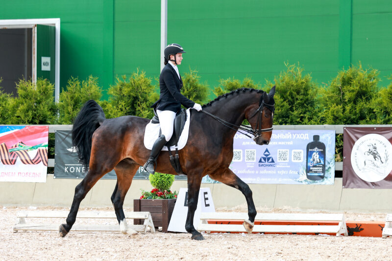 АМИГО-08 и Левашова Вероника