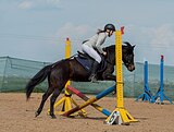 пони-класс в/х132см 2019г.р.