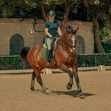 ВЫЕЗЖЕН ДО СП 1