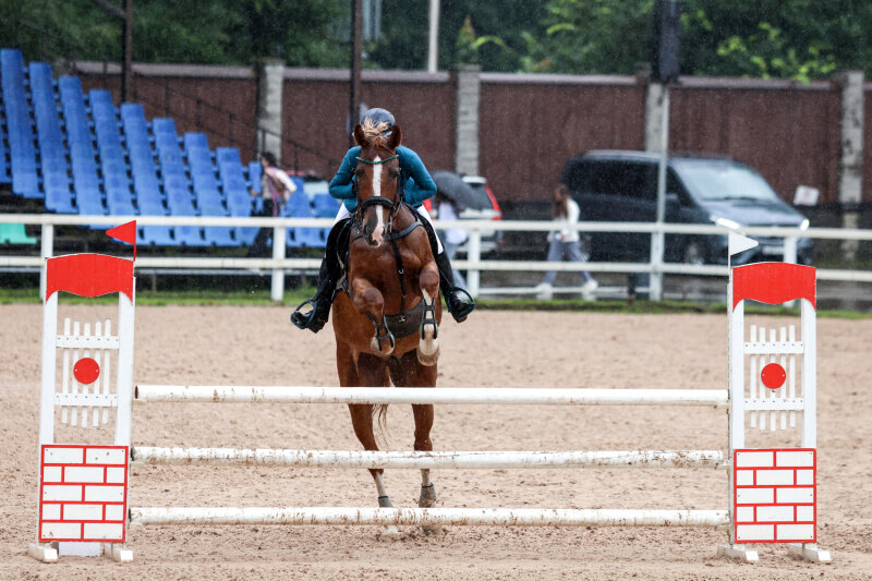 АРТЕФАКТ-17 и Михайлова Дария