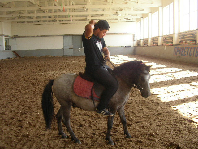 Самая свирепая лошадь на конюшне.
