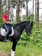 ЮЕ, конкур