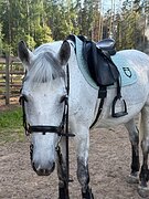 Конкур 110см