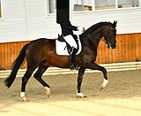 Юношеские езды