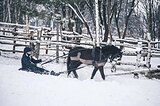 Уэлец 0924