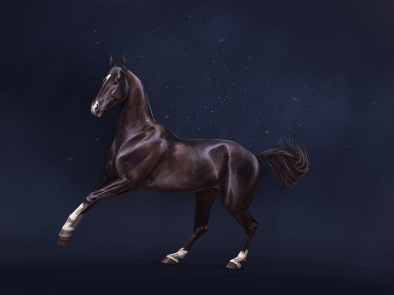 Карандашный набросок, покраска в SAI, по фото из интернета. (очень нравится этот конь)