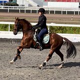 ВЫСТУПАЛ ПО СП1