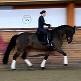 КОБЫЛА 6 ЛЕТ В ВЫЕЗДКУ