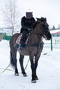 Жеребец 