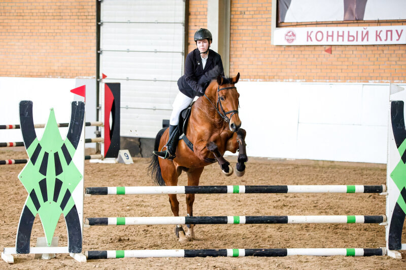 БУСТЕР ДЕ ВАСРАМ-11 и Чернова Екатерина