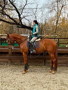 Кобыла уровня МП