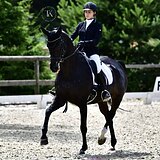 МЕРИН РВП | ЮНОШЕСКИЕ ЕЗДЫ