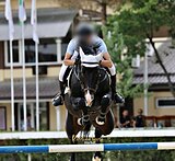 Надежный и опытный партнер