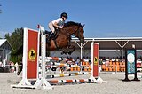 Кобыла на маршруты 110 см 