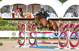 Мерин 2015 гр, 172 вх