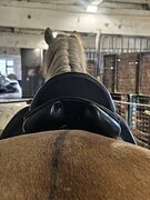 Выездковое седло equipe