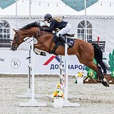 СТАРТОВЫЙ ОПЫТ ДО 120 СМ