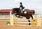 манежная езда FEI CCI 1* 66,771%