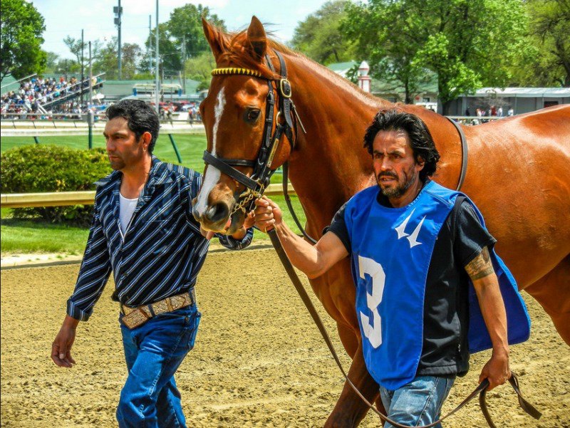 Ипподром Churchill Downs, скачка Humana Distaff Stakes (Gr. 1), второе место.