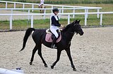 Мерин 