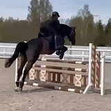 СТАРТОВЫЙ ОПЫТ ДО 110 СМ