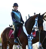 Мерин в спорт| Супер цена!