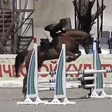 КОБЫЛА НА МАРШРУТЫ ДО 105 СМ